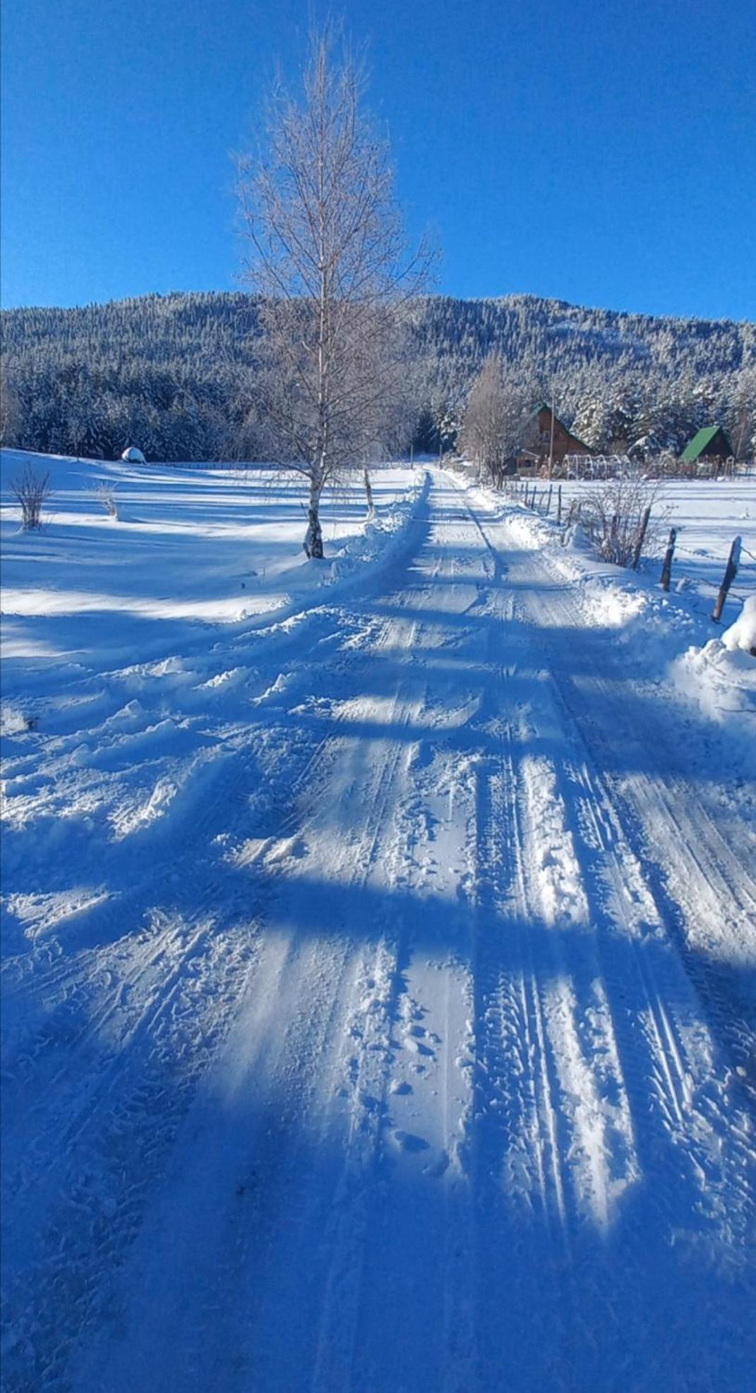 Chalet Cilac Zabljak  Bagian luar foto